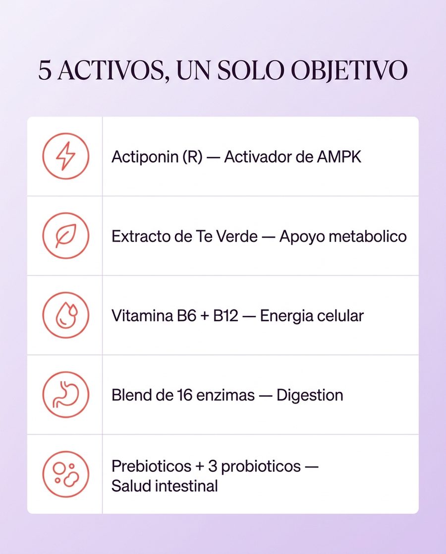 Resumen visual de los ingredientes del combo